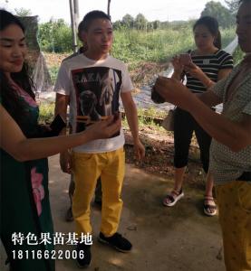 客户参观考察