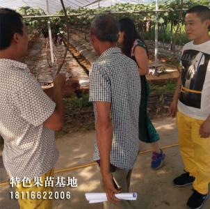 客户参观考察
