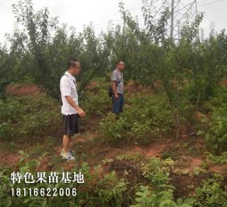 客户参观考察