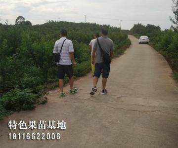 客户参观考察