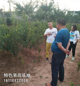客户参观考察