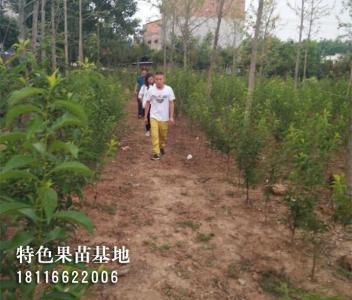客户参观考察