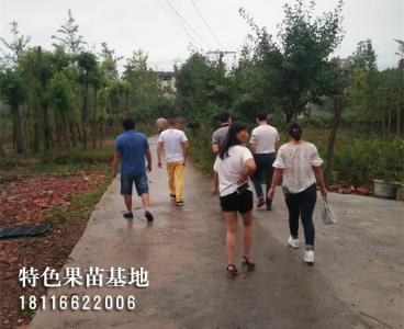 客户参观考察