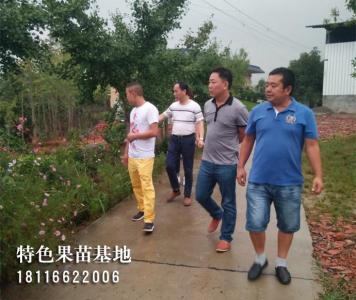客户参观考察