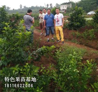 客户参观考察