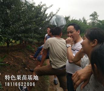 客户参观考察