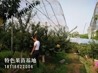 客户参观考察