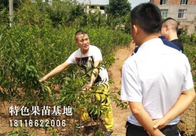 客户参观考察