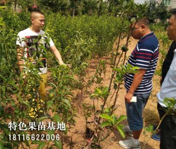 客户参观考察