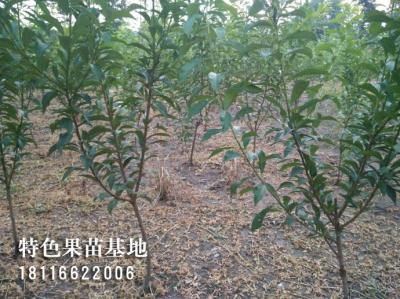 客户参观考察