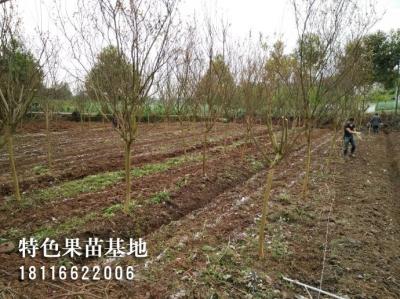 客户参观考察