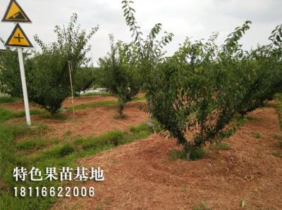 客户参观考察