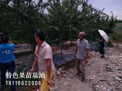 客户参观考察
