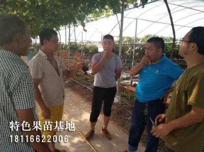 客户参观考察