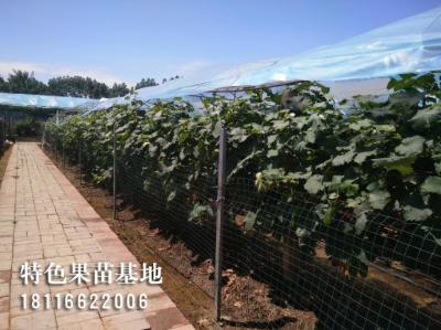客户参观考察