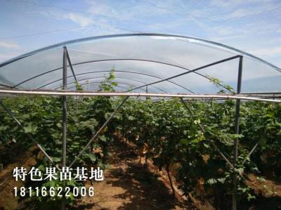客户参观考察