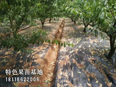 客户参观考察