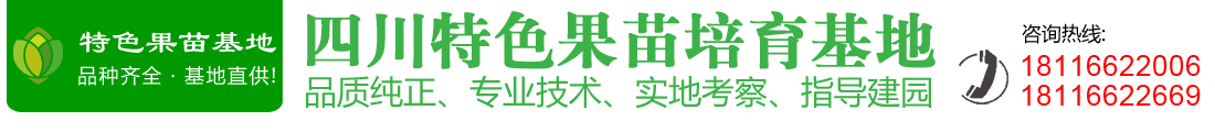 四川特色果苗基地|李子苗木|车厘子苗木|柑橘苗木|枇杷苗木|青白江四季农夫家庭农场